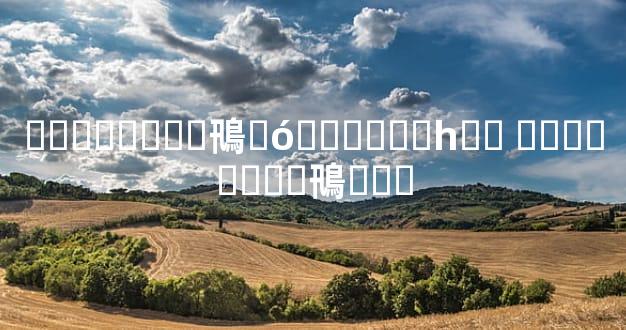 ��ϵ�����鳵�ó�����Ǯһ�� ��ϵ�����鳵�۸�